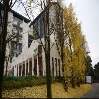 軟瓷行業蓬勃發展，更加廣闊的布局